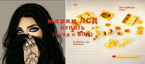 spice Осинники